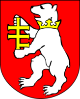 Starostwo Powiatowe w Radzyniu       Podlaskim w miejscowości Radzyń Podlaski