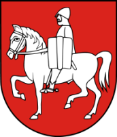 Urząd Gminy w miejscowości Mały Płock