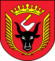 Urząd Gminy w miejscowości Wiskitki