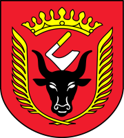 Urząd Gminy w miejscowości Wiskitki
