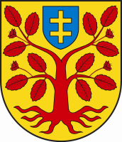Urząd Gminy w miejscowości Zbuczyn