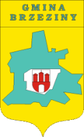 Urząd Miasta w Brzezinach