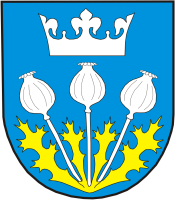 Urząd Miasta w Makowie Podhalańskim