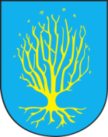 Urząd Miasta w miejscowości Orzesze