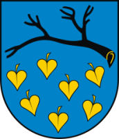 Urząd Miejski w Łaziskach Górnych